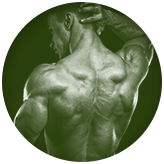 100% STATISFACTION GUARANTEE