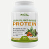 VEGAN PROTEIN